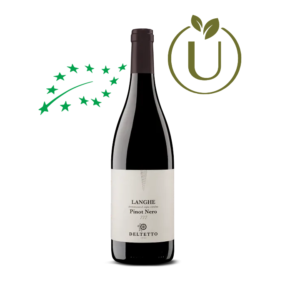 Langhe DOC Pinot Nero 777 2023