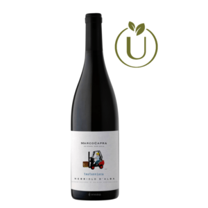 Nebbiolo D'Alba DOC 'TESTANVISCA' 2022