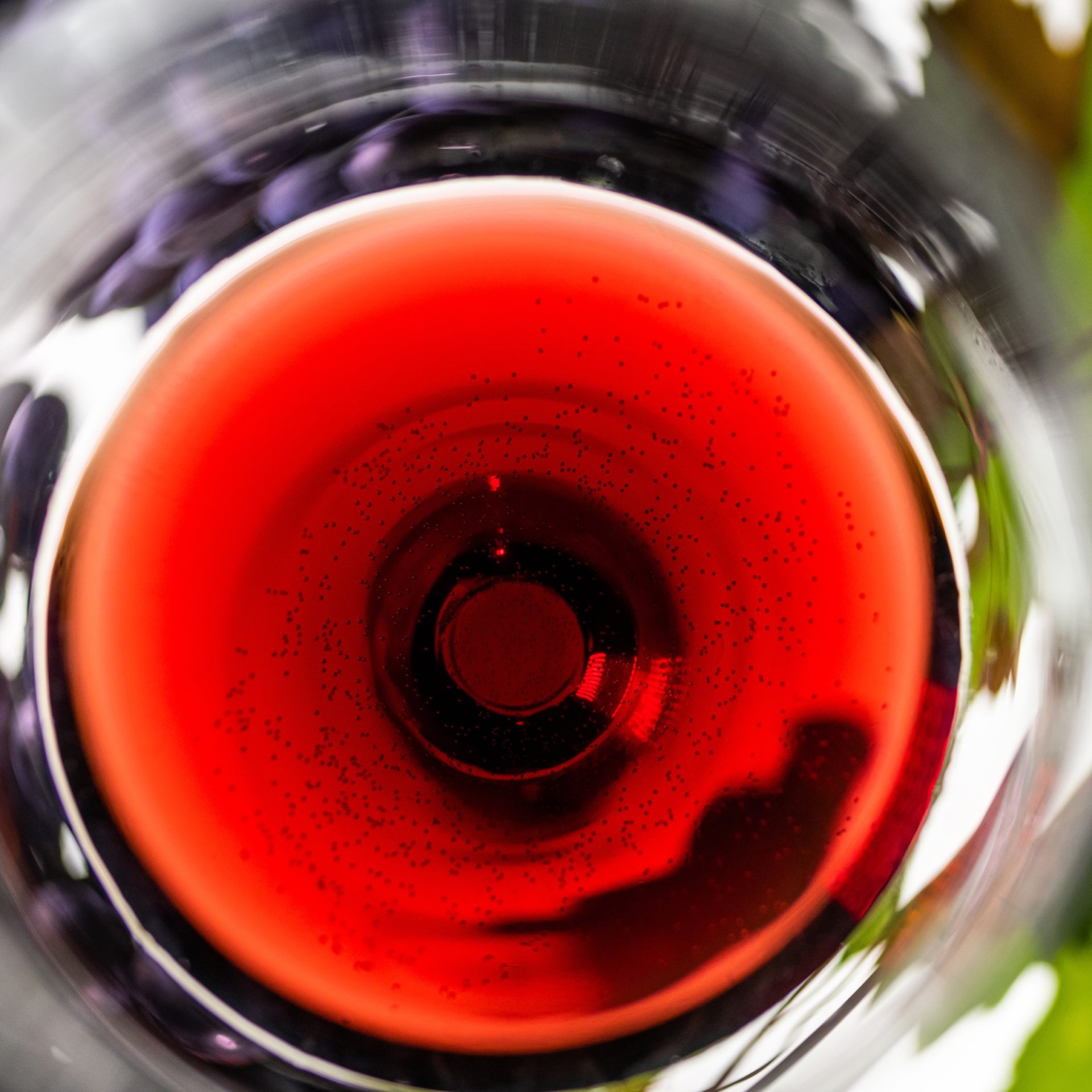 GRAN PREMIO NOÈ VIGNA PETRUSSA