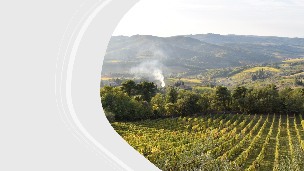 ADOTTA UNA VIGNA: UN’ESPERIENZA UNICA