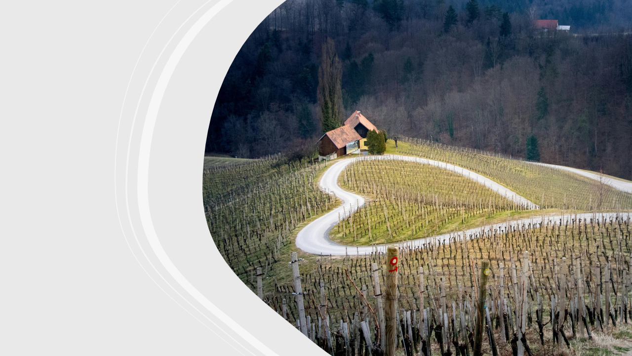 San Valentino: bollicine per brindare in compagnia