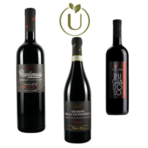 Cottini Marco Tasting Kit