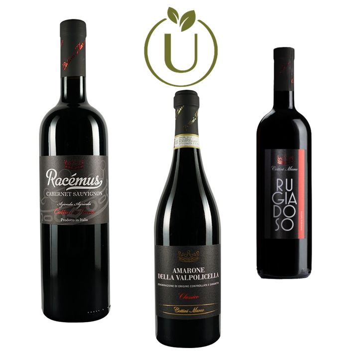 i-bianchi-della-toscana